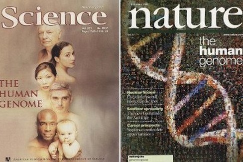 Science Nature
