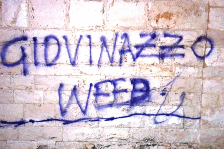 Giovinazzo weed sul muro di Palazzo Vescovile. <span>Foto Gabriella Serrone</span>