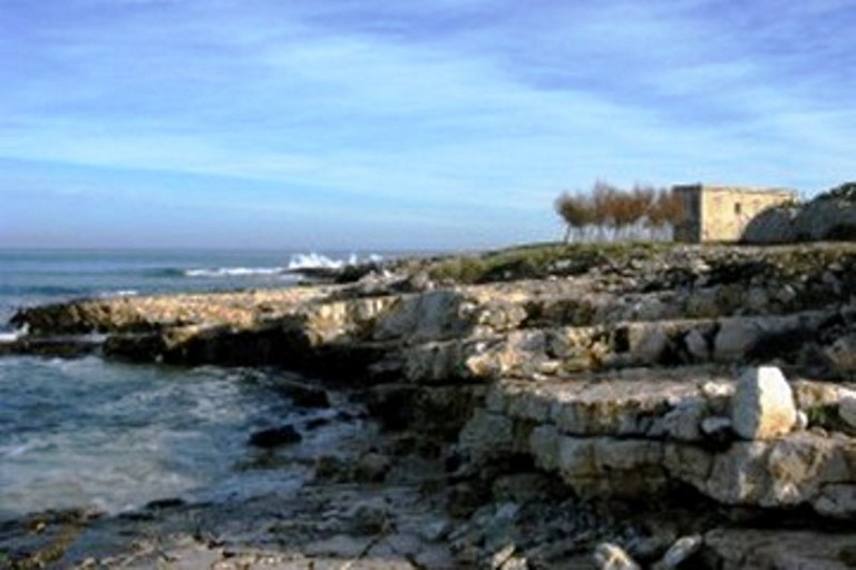 Torre Gavetone