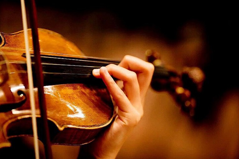 Violino